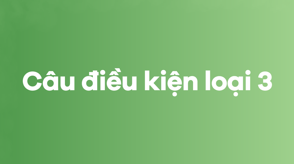 Bài tập trắc nghiệm câu điều kiện loại 3