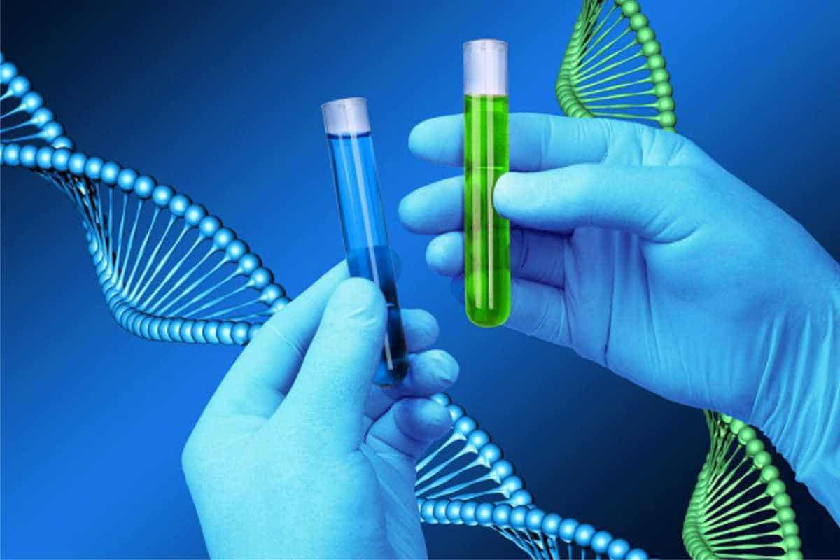 Thi thử THPT quốc gia môn Sinh Học - Đề thi chính thức của bộ GD&ĐT năm 2021